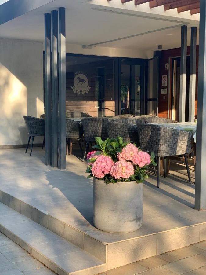 Mohacsi Wellness Vendeghaz Es Lovasklub Hotel Exterior photo